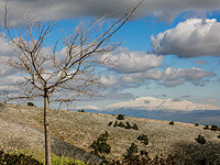 Из-за непогоды закрыт ряд туристических маршрутов. На Хермоне - снегопад и туман