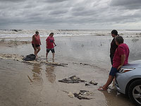 Торнадо в Алабаме: десятки погибших и пропавших без вести