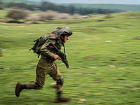 На Голанах и в долине Хула пройдут армейские учения