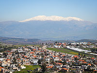 Снежный Хермон и зеленые луга весеннего Израиля. Фоторепортаж
