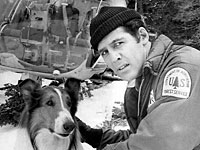 Умер актер Джед Аллан – звезда телесериала 