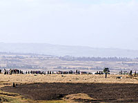 Уточненные данные о жертвах авиакатастрофы в Эфиопии