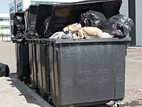 Пьяная россиянка родила в гостях и выбросила новорожденного в мусорный бак