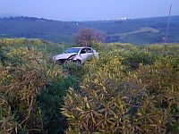 ДТП около Тверии: один человек погиб, двое получили травмы