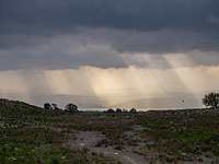 Туристические маршруты закрыты из-за дождей; на Хермоне - снегопад