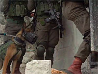 В Самарии ведется розыск террористов, убивших Галя Кейдана. Видео пресс-службы ЦАХАЛа