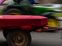 Скандал в Бельгии: на карнавале показали карикатурных евреев, стоящих на денежных купюрах