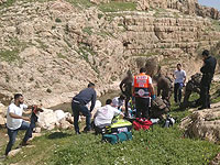 В реке Нахаль Прат едва не утонул 12-летний мальчик