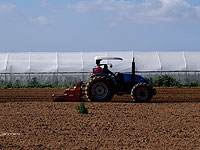Фермеры прилегающих к Газе районов получат дотацию для ускорения жатвы