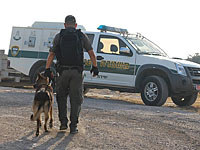 Возле Беэр-Шевы автомобилем сбит военнослужащий МАГАВа