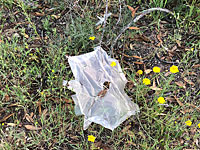 Воздушный змей с 