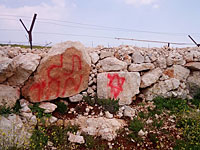 Подозрение на 