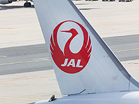 Самолет Москва-Токио задержан в Домодедово из-за сообщения о бомбе на борту