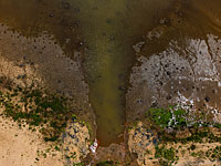 Новые данные о жертвах прорыва дамбы в Бразилии: 224 погибших, 69 пропавших без вести