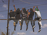 Ученые: афроамериканцы из малообразованных семей познают секс раньше сверстников
