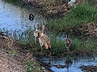 Полиция перекрыла