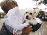 В преддверии Пасхи: крестный ход и благословение собак. Фоторепортаж