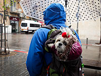 Песах и Пасха: мокрый праздник в Иерусалиме. Фоторепортаж