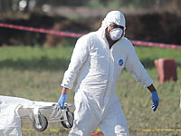 Кровавая бойня на востоке Мексики: среди жертв – годовалый ребенок