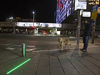 Мэрия Тель-Авива окрасилась в цвета флага Шри-Ланки