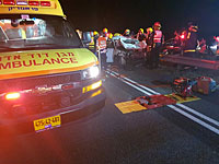 Возле Ган-Явне автомобиль врезался в лошадей