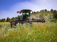 Ущерб, причиненный дождем и градом фермерским хозяйствам, оценивается в 29 млн шек