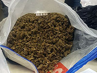 Задержаны подозреваемые в наркоторговле, хранившие