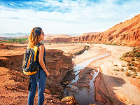 Ливанская контрразведка: 