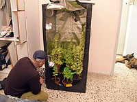 45 жителей севера задержаны по подозрению в наркоторговле