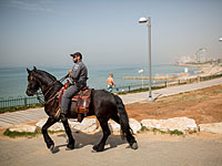 Трое арабов из Иерусалима обвинены в подготовке теракта на набережной Тель-Авива