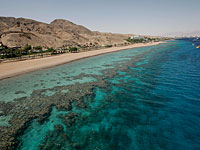 Управление природы требует от судоходных компаний компенсацию за разрушение кораллового рифа в Эйлате