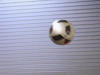 Чемпионат Украины: зрители избили судью, который подсуживал гостям