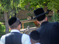 Адмор из Гура против работы Библейского зоопарка по субботам, Либерман выступил с резкой критикой