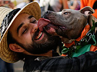 Исследование показало: любовь к собакам заложена в генах