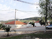 Пожар возник в лесу возле поселка Заноах в окрестностях Бейт-Шемеша