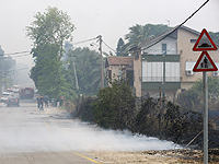 Пожарным удалось взять под контроль все очаги возгорания; открыты все дороги и парки