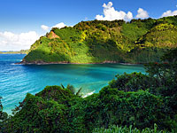 Инструктор йоги провела в гавайском лесу две недели и осталась жива