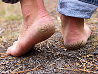 Житель Бруклина зарезал родителей, которые запрещали ему ходить босиком