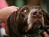 Пассажира Delta изуродовала 