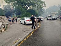 В парке, расположенном в центре Кирьят-Шмоны, вспыхнул пожар