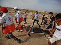 Минздрав Газы подвел итоги