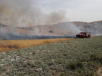 Около границы сектора Газы возник лесной пожар