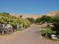 Производство водорослей в пустыне Арава продано за 90 млн долларов