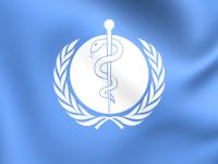 Ассамблея ВОЗ осудила Израиль за 
