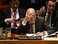 Россия блокировала декларацию Совбеза ООН по Идлибу 