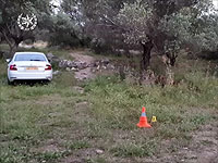 Раскрыто убийство 19-летней жительницы Лода Наджилы Эльамури