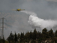 Из-за пожара эвакуированы посетители из заповедника Эйн-Тина