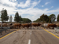 Работники минсельхоза прекратили забастовку