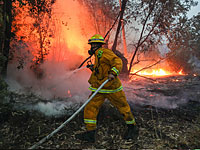 Пожары в Израиле. Фоторепортаж