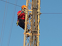 Добровольцы полиции провели операцию по спасению кошки, забравшейся на 45-метровую антенну